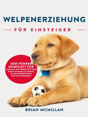 cover image of Welpenerziehung für Einsteiger